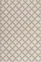 3 Fawn
