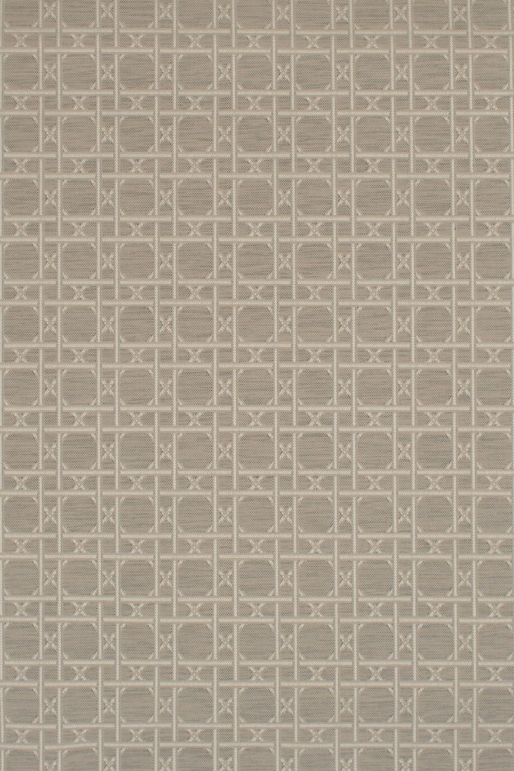 T01001570_ALT2