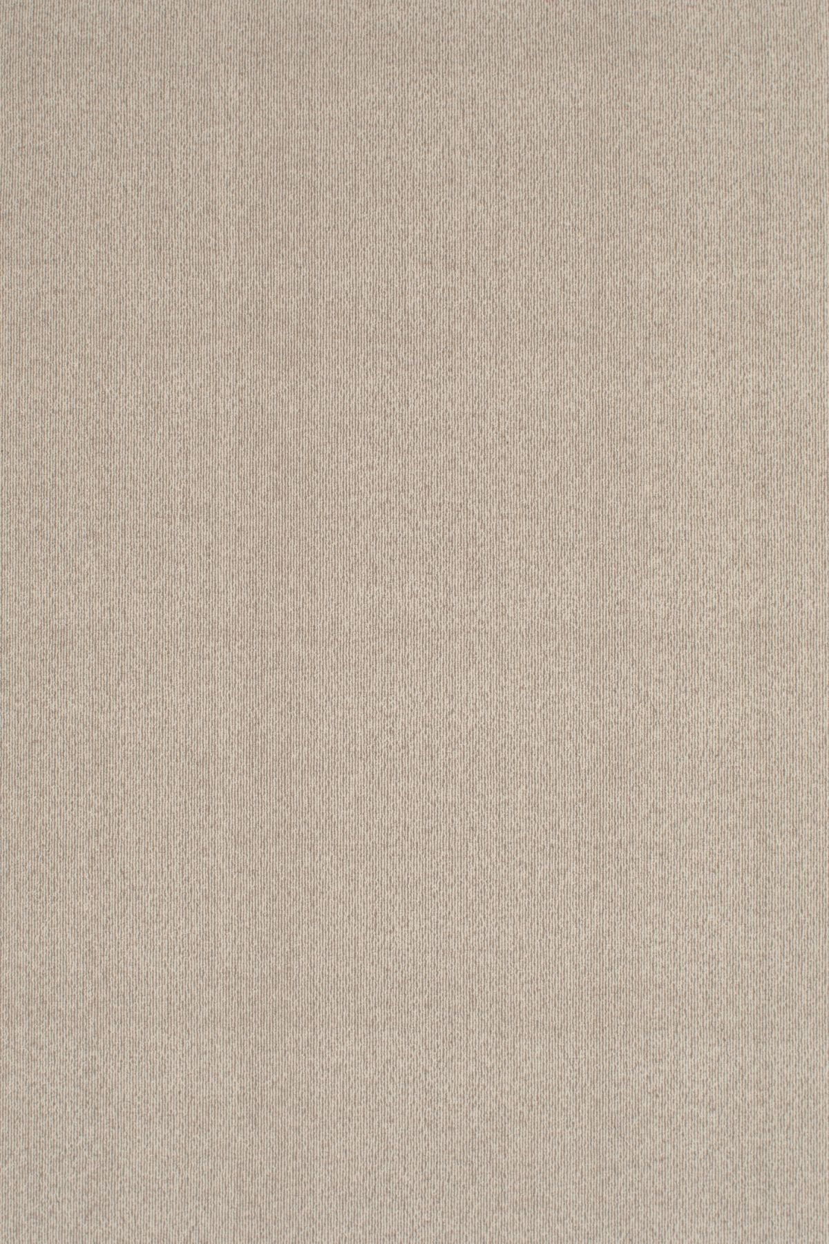 T01002948_ALT2