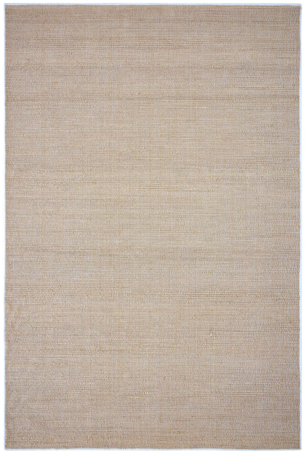 T01005919