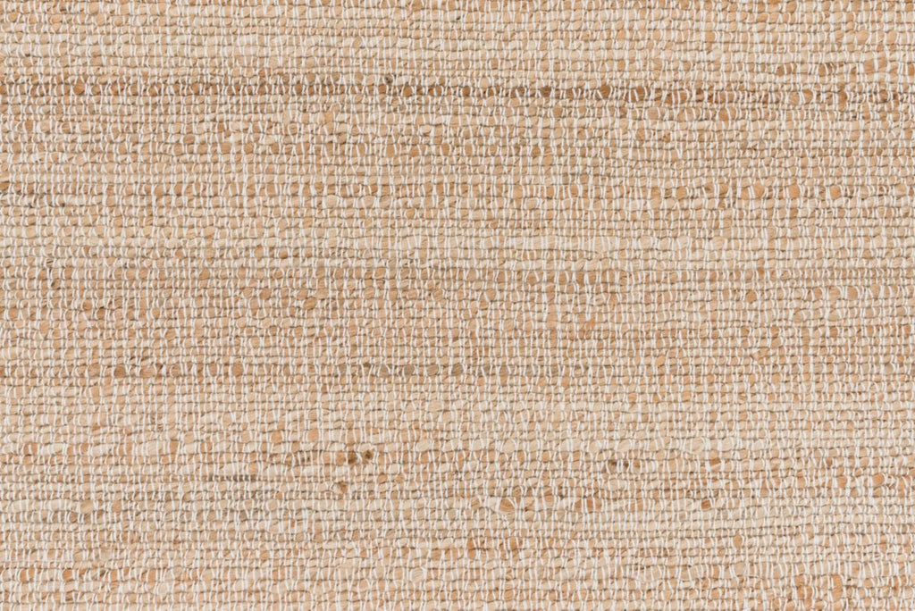 T01005920_CL