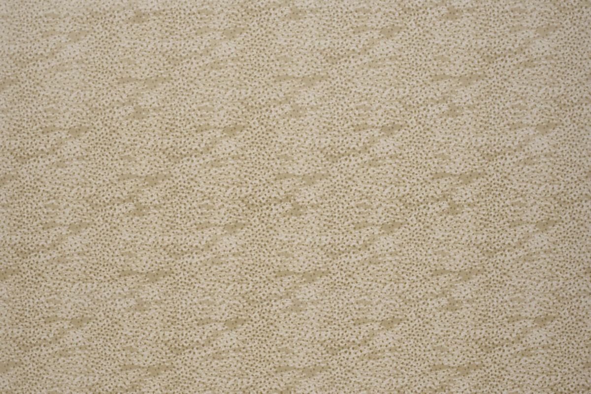 T01006618_ALT2