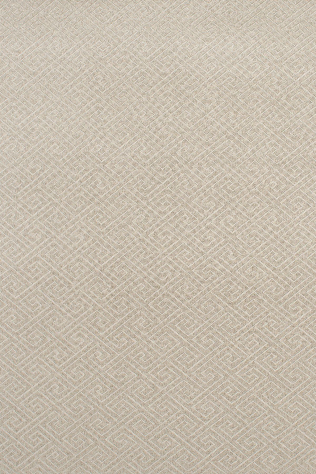 T01007268_ALT2