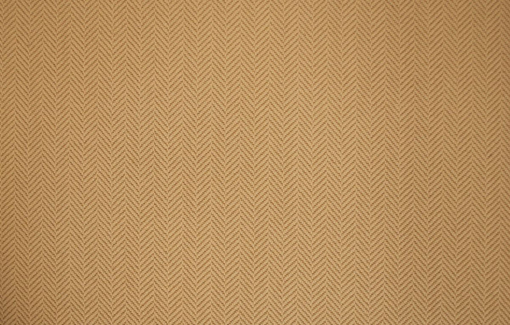T01007842_SAMPLE