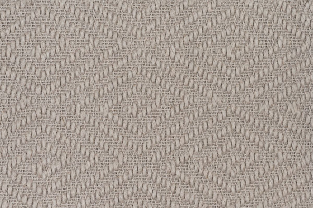 T01011001_CL