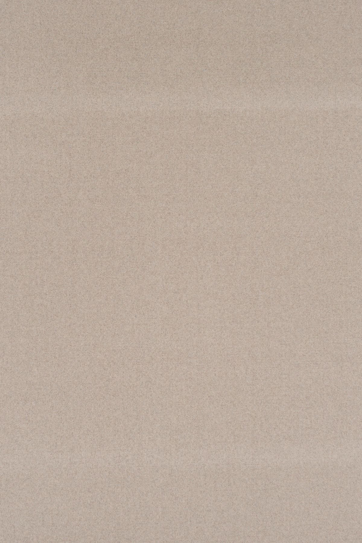 T01014999_ALT2