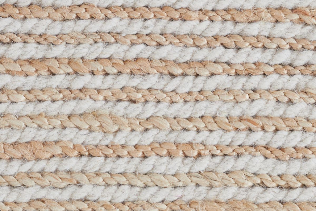 T01016031_CL