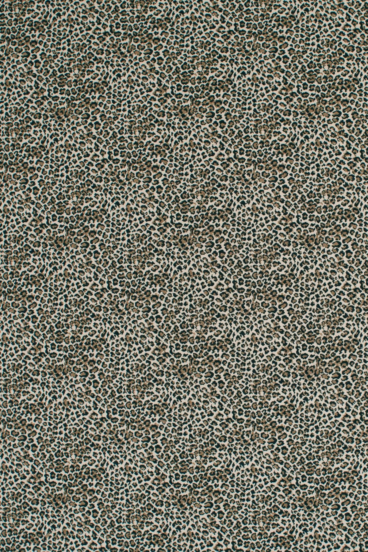 T01016850_ALT2