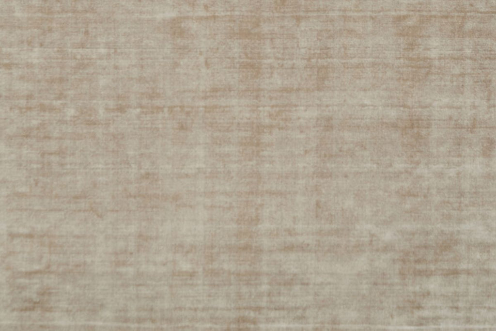 T01017595_ALT2